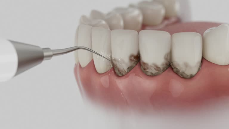 Reliable Dental contractor in Wardsville, MO by Dentist Open Now